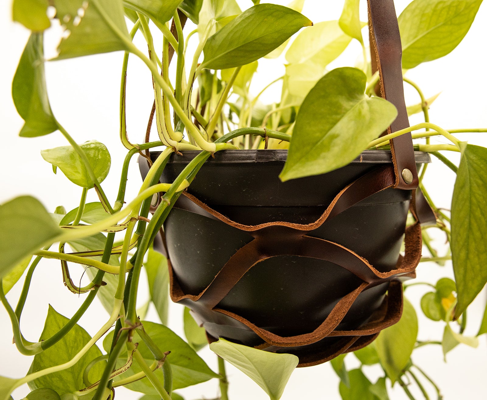 leather plant pot holder Leather Plant Holder – Lindy Leather
