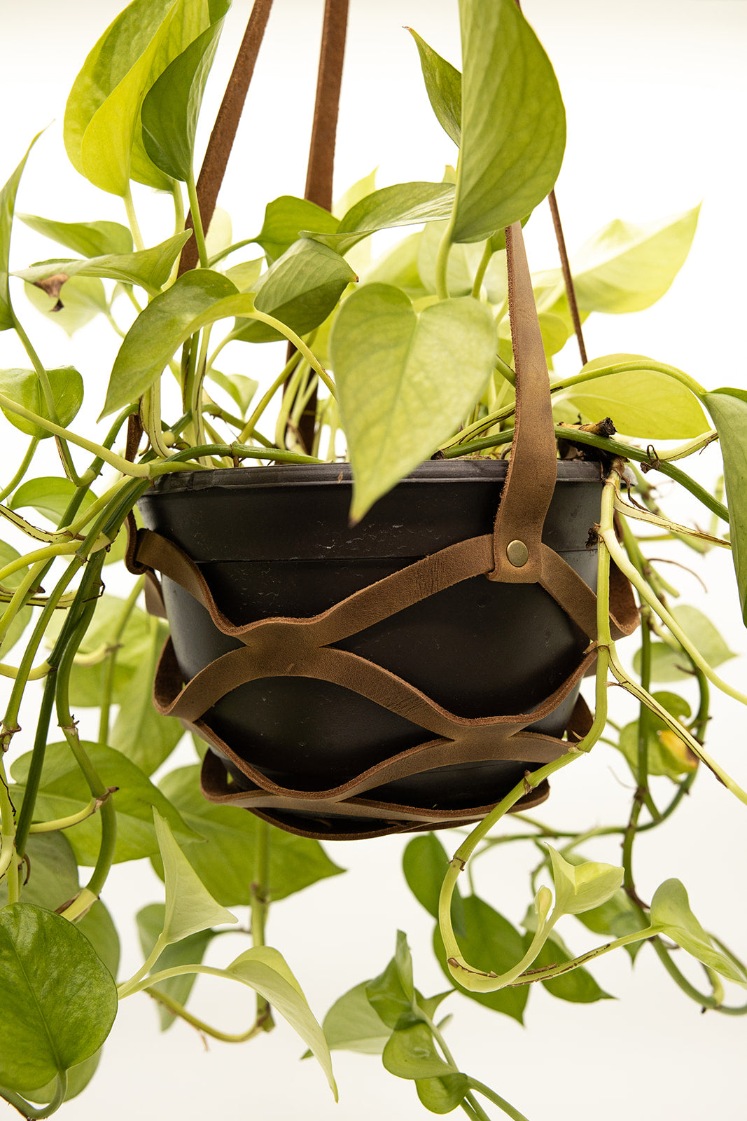Leather Plant Holder