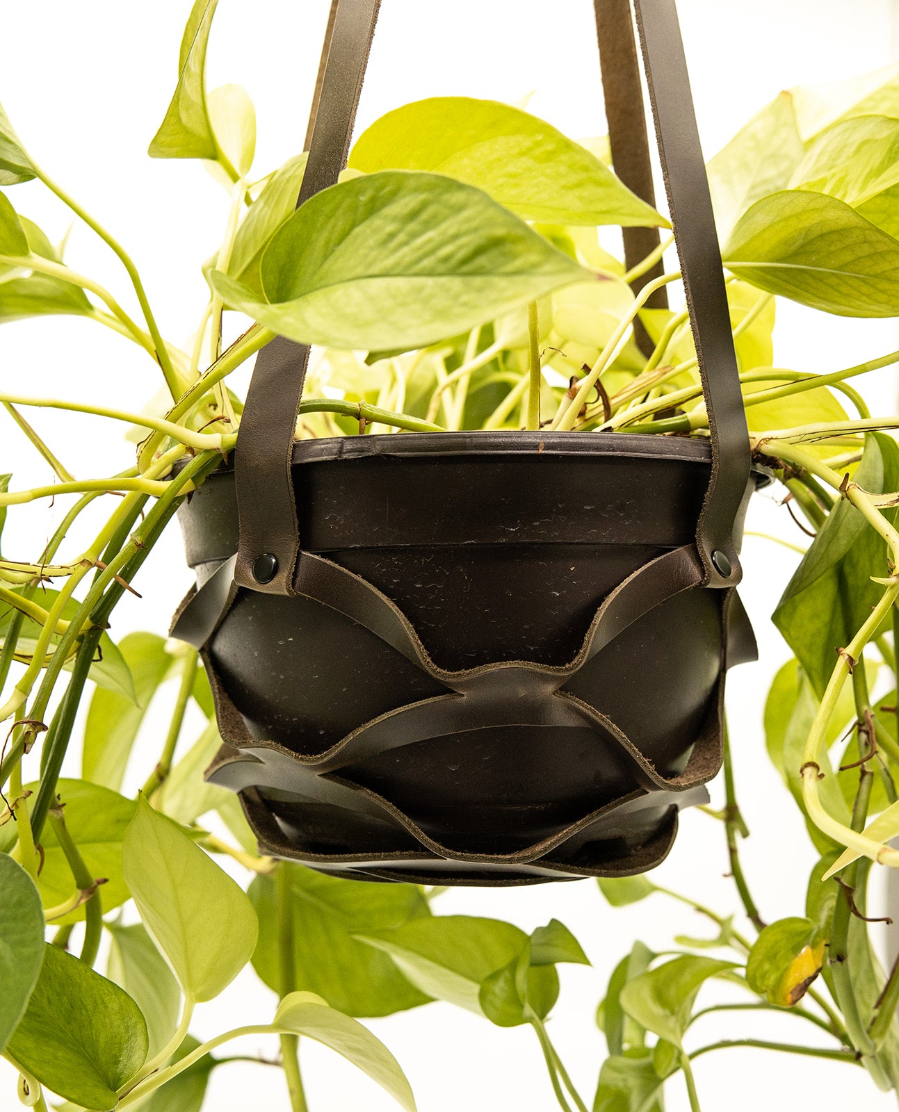 Leather Plant Holder