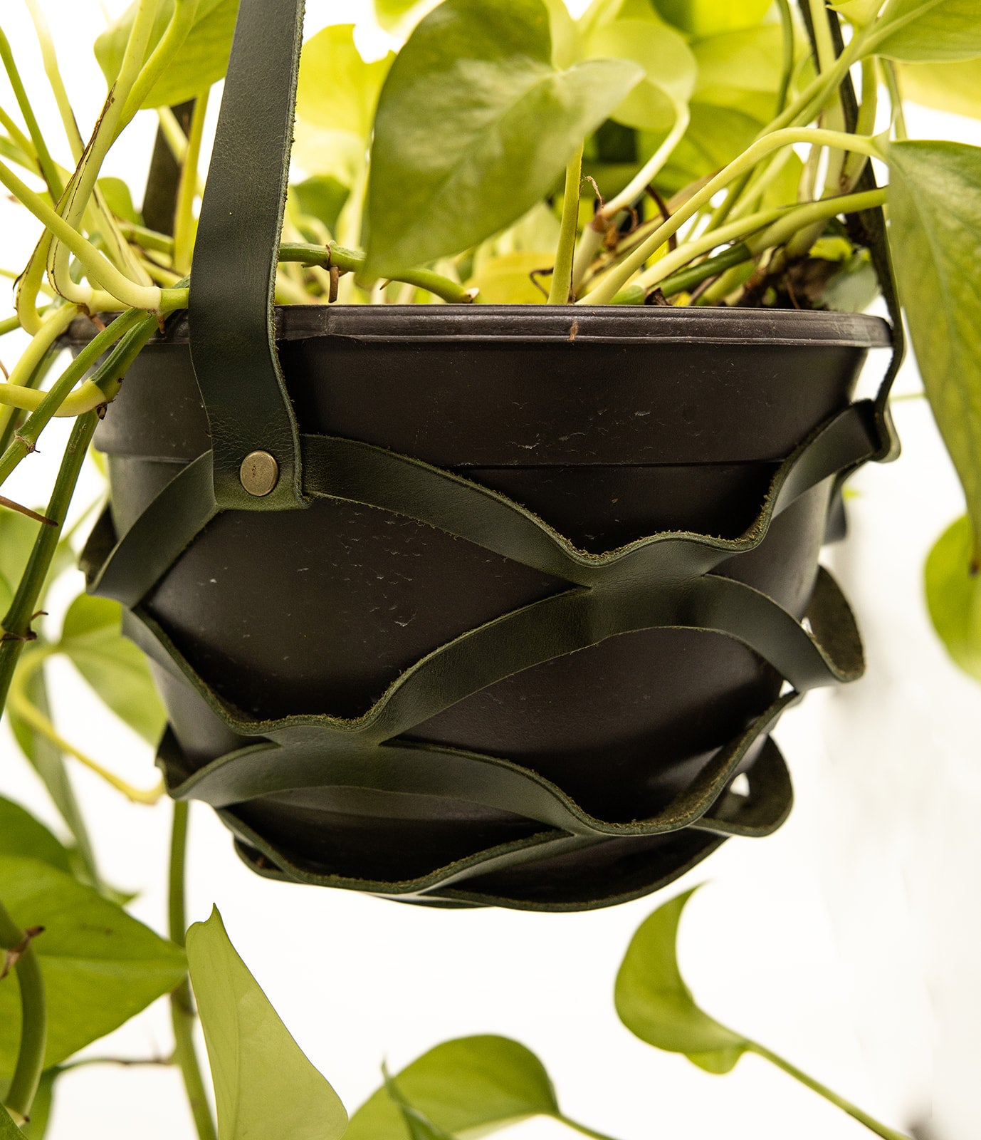 leather strap plant hanger Leather Plant Holder – Lindy Leather