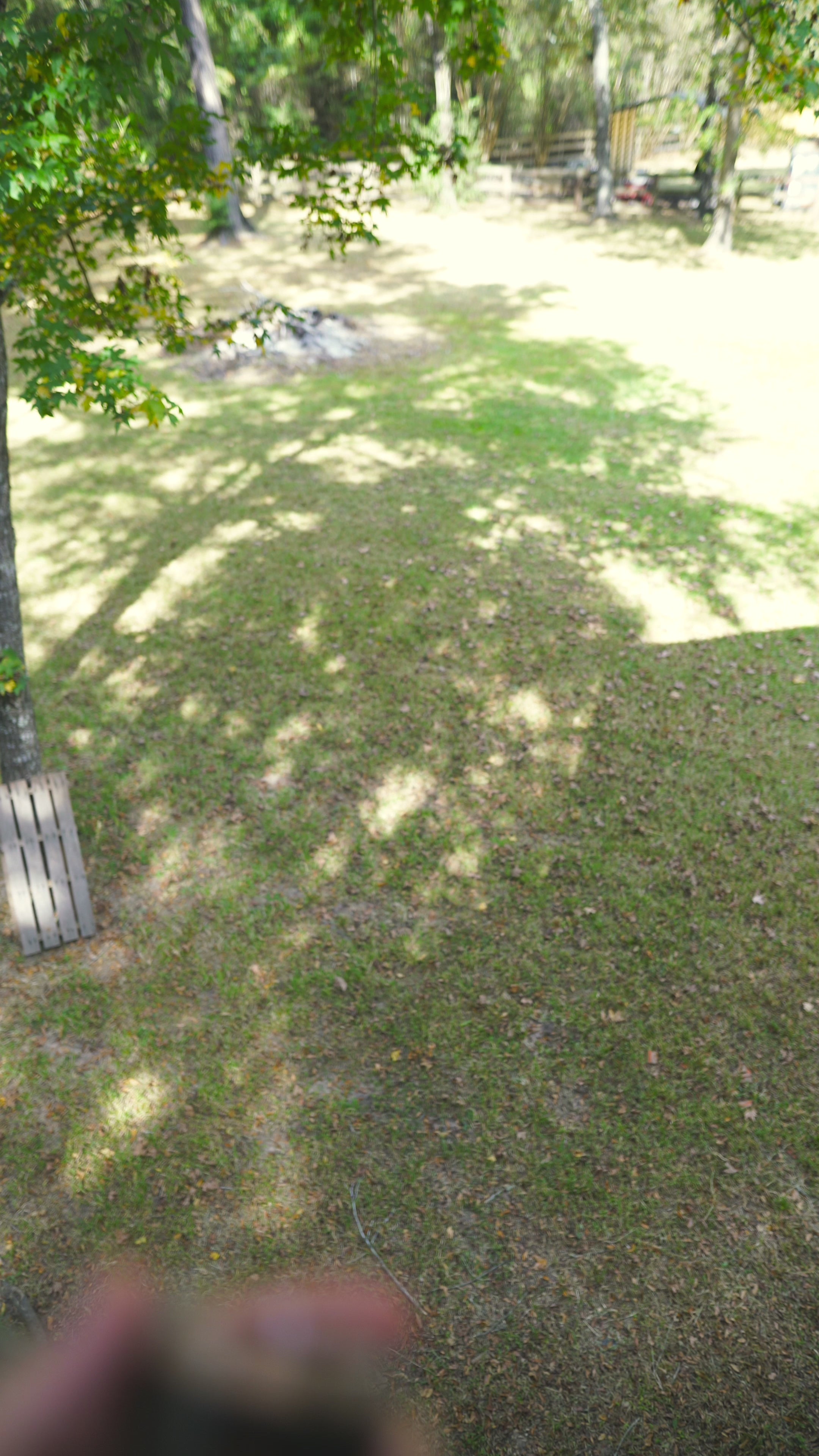 Load video: Block Font Shot Glass